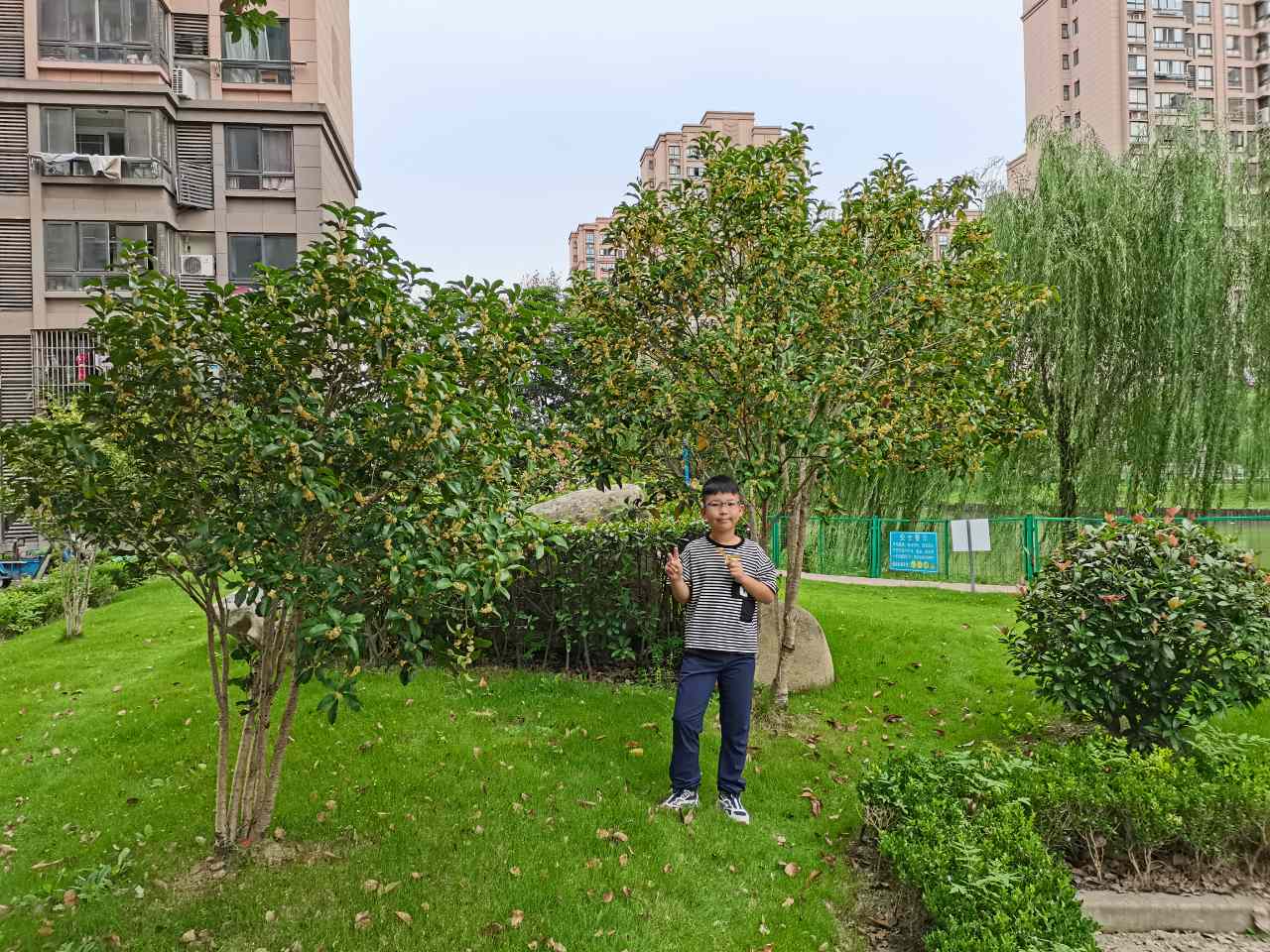 1697692086270415.jpg 1697692086270415.jpg