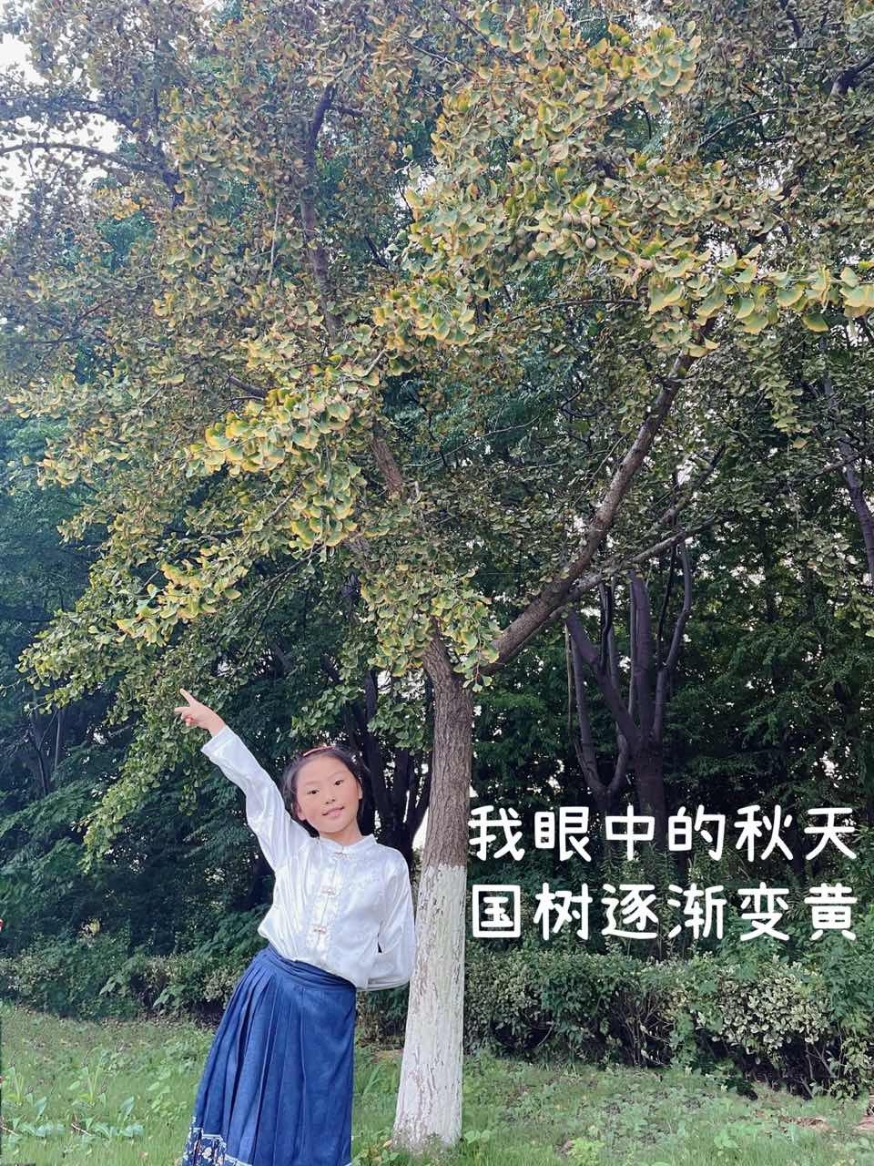 1697692089468320.jpg 3.jpg