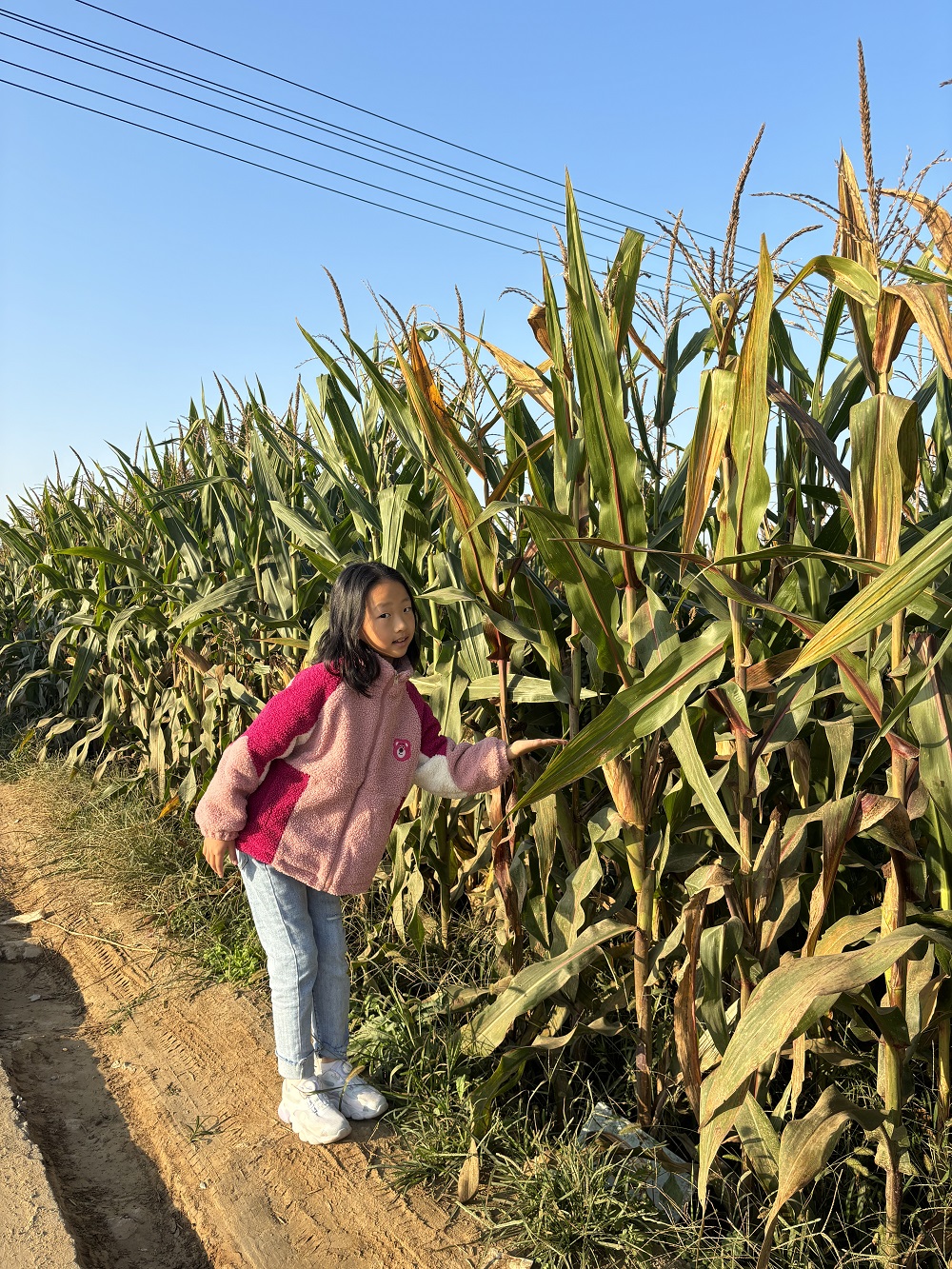 1697692770461563.jpg 4.jpg