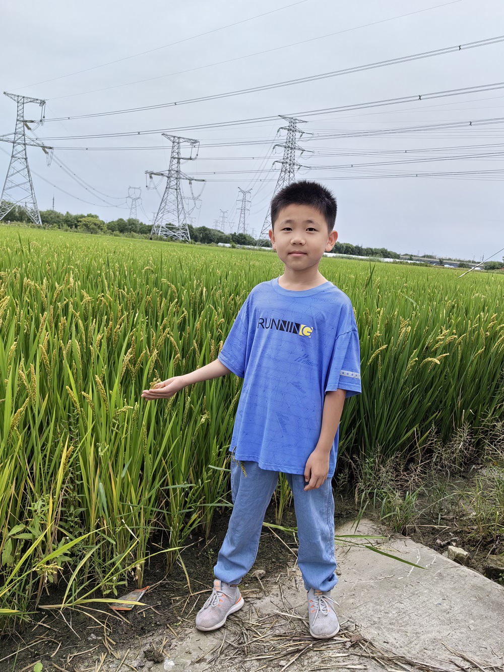 1697692780797616.jpg 5.jpg