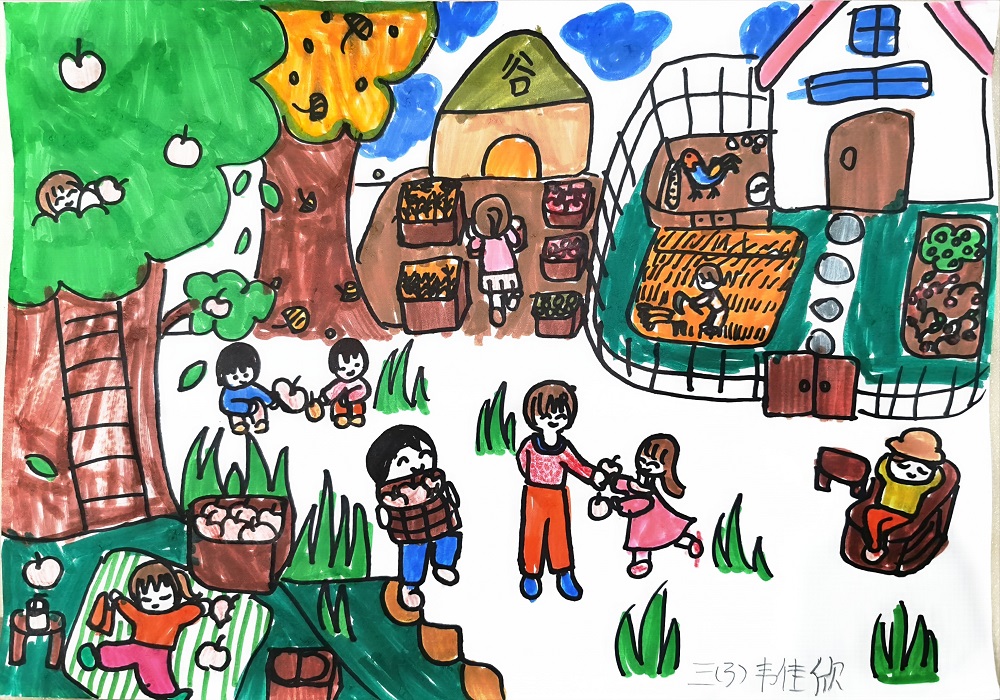 1697693060260043.jpg 12.jpg