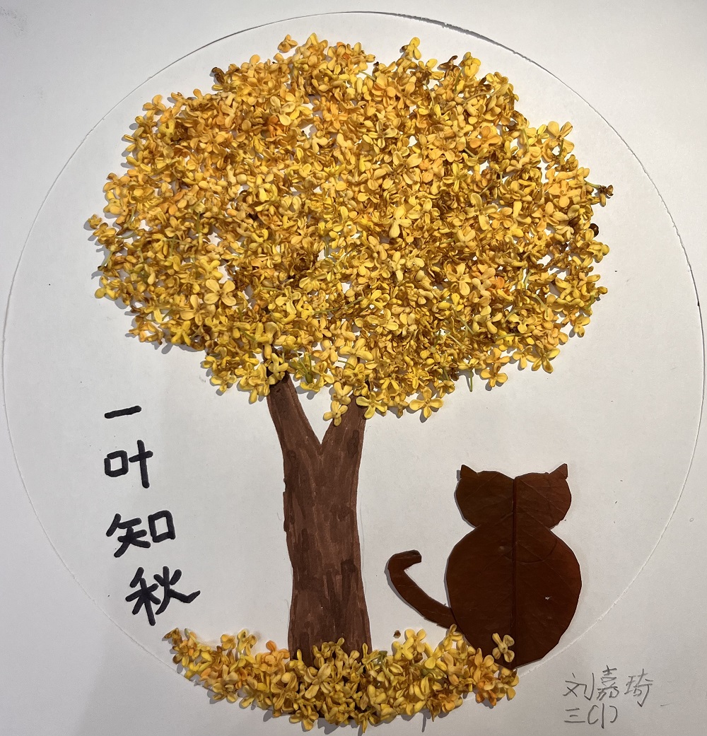 1697693076413732.jpg 13.JPG