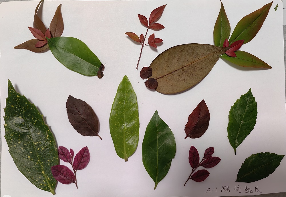 1697693082995168.jpg 14.jpg