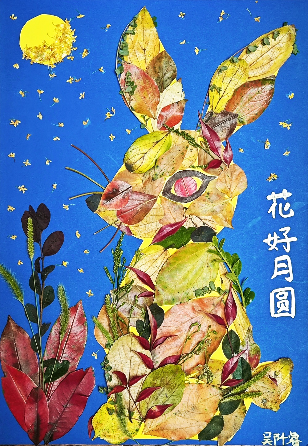 1697693094936595.jpg 15.jpg