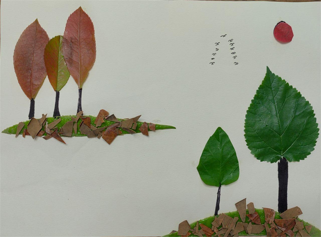 1697693097360270.jpg 16.jpg