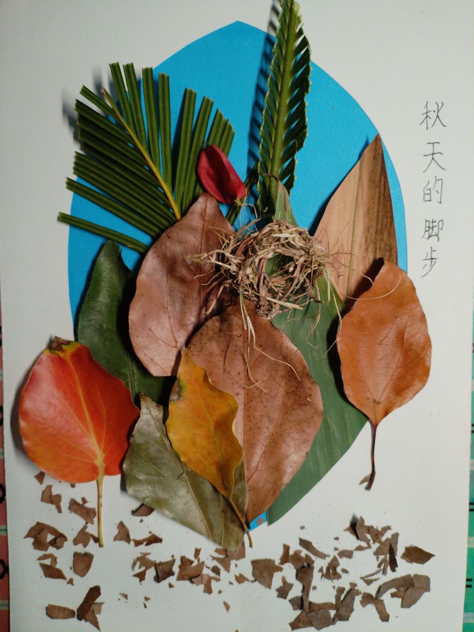 1697693103384938.jpg 17.jpg